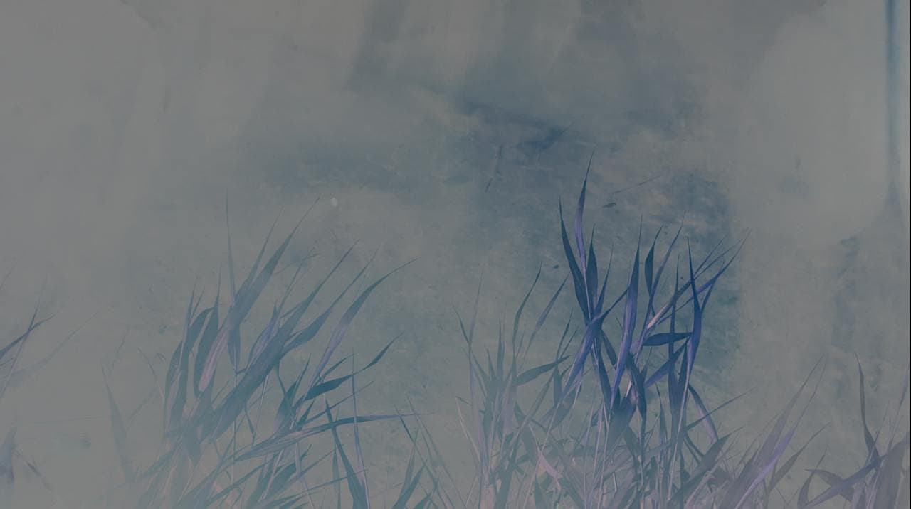 Cover Image - a pure person, as time goes by